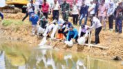 50.000 Benih Ikan Nila Dilepas di Kecamatan Mare