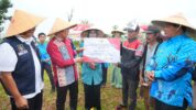 PJ Gubernur Sulsel Beri Bantuan Bibit Kopi Arabica dan Pupuk Kepada Masyarakat Bantaeng