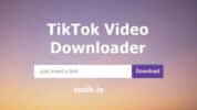 Platform Download Video TikTok SSSTIK