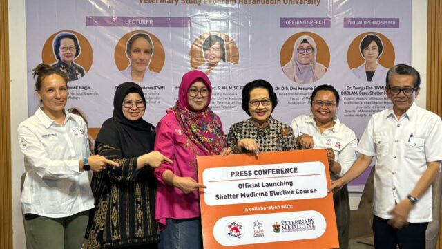 RN Fakultas Kedokteran Hewan Unhas Shelter Medicine