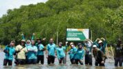Kantongi SK Bupati Pangkep, Program Mangrove KALLA Naik Status Jadi Kawasan Konservasi